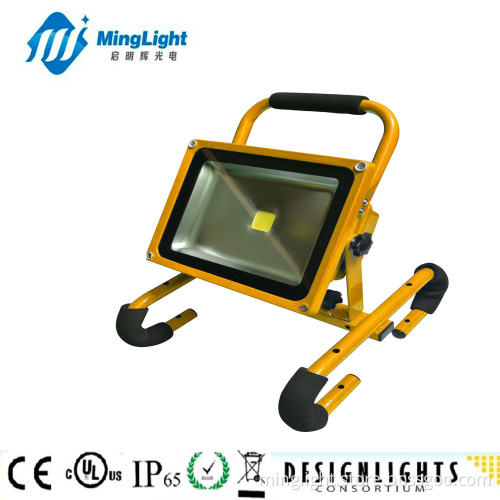 Retrofit LED Canopy Light, Iluminacion LED Lights (FL115-20W)